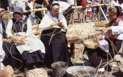 Fête de la terre 2005