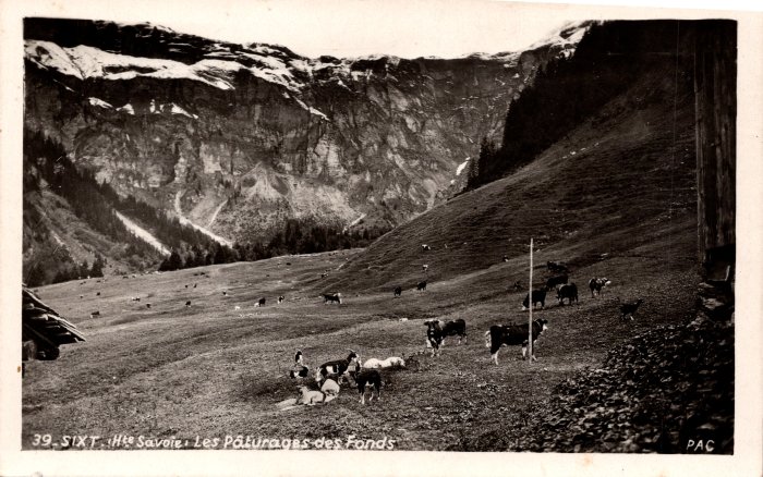 Les pâturages des Fonts - 1947