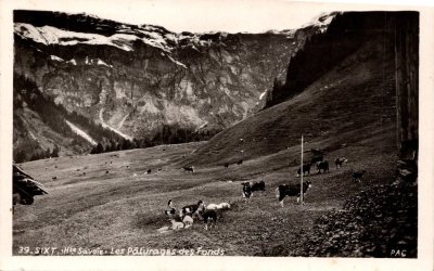 Les pâturages des Fonts - 1947