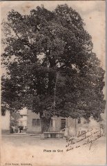 Photo de la Place de Sixt avec son tilleul