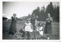 Photo du travail dans les champs