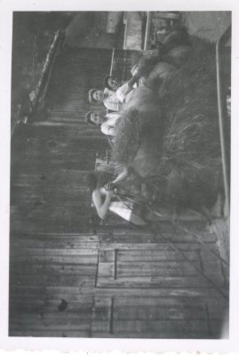 Photo des foins en famille