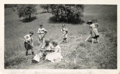 Photo des foins au Lochet