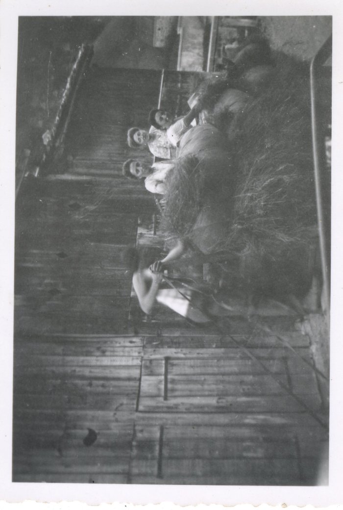 Photo des foins en famille