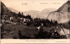 Pâturage de Giffre Nant