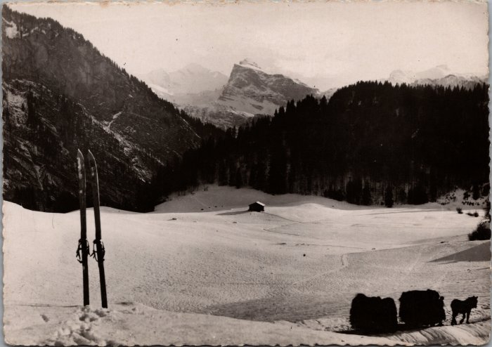 Carte postale de Samoëns "Le Mont Blanc et la pointe de Sale, vus de la Rosière"