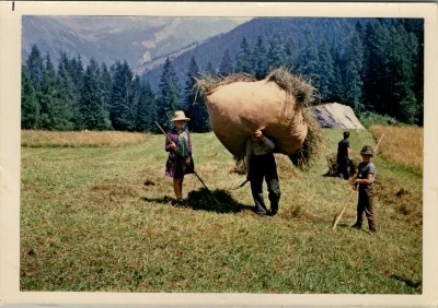 Foin au Lignon, aout 1969