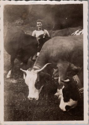 RICHARD Ludivine avec les vaches -1947