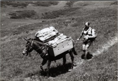 Photo d'un ravitaillement au refuge d'Anterne avec la mule, Olivier MOGENIER