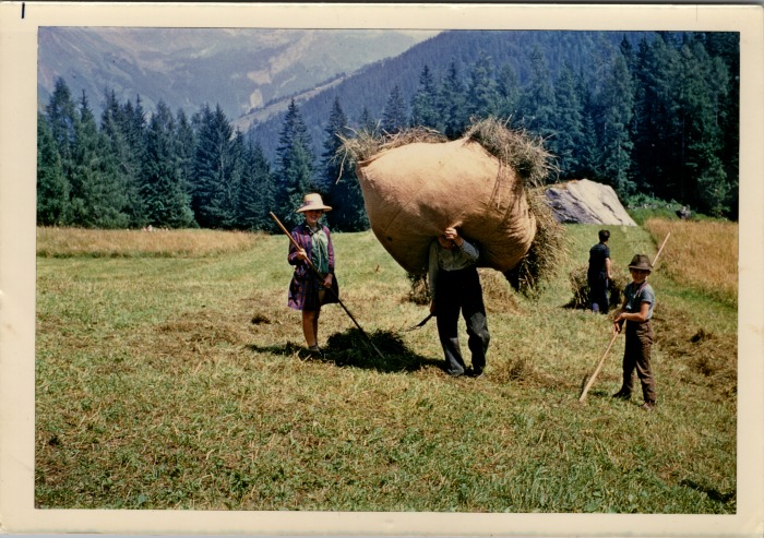 Foin au Lignon, aout 1969
