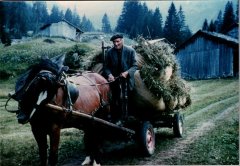 RICHARD Adelin "Bouzaron" et la jument avec le foin