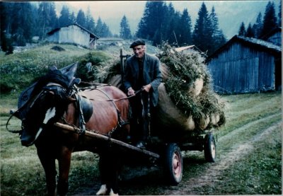 RICHARD Adelin "Bouzaron" et la jument avec le foin