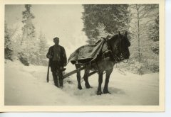 Joseph MOGENIER avec la jument le 13 février 1960